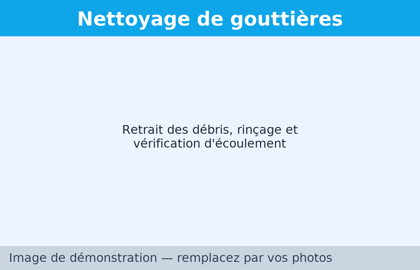 Nettoyage des gouttières — Multi-Services Slessa