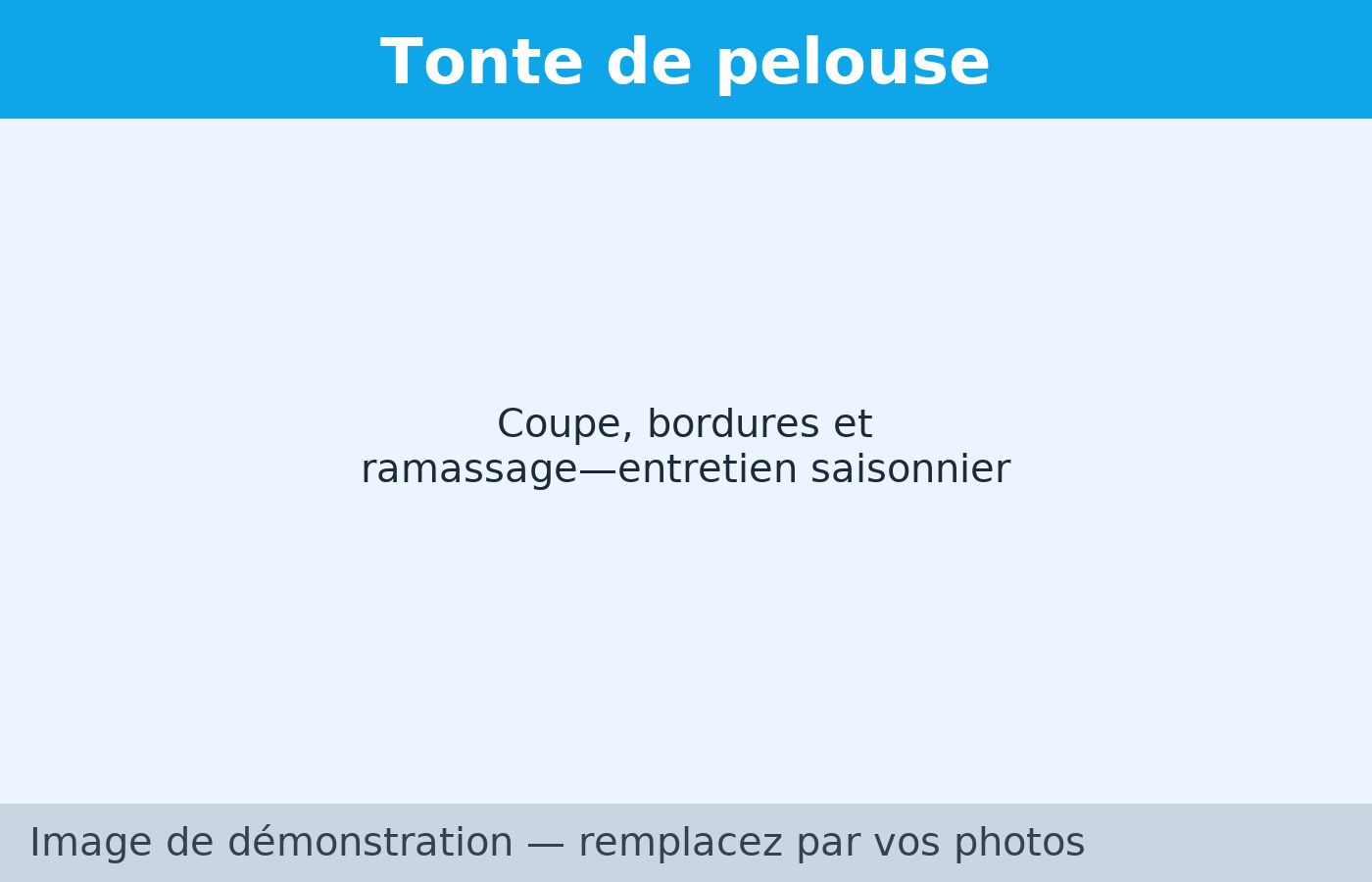 Tonte de pelouse — Multi-Services Slessa
